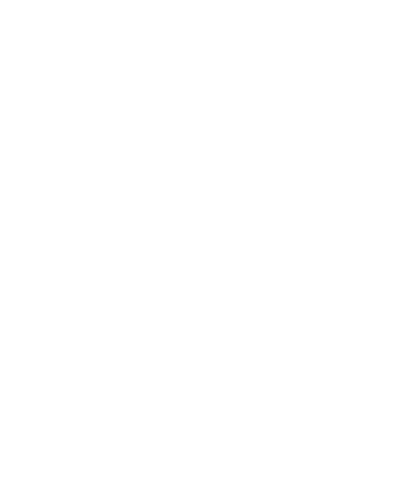 Bureau Veritas